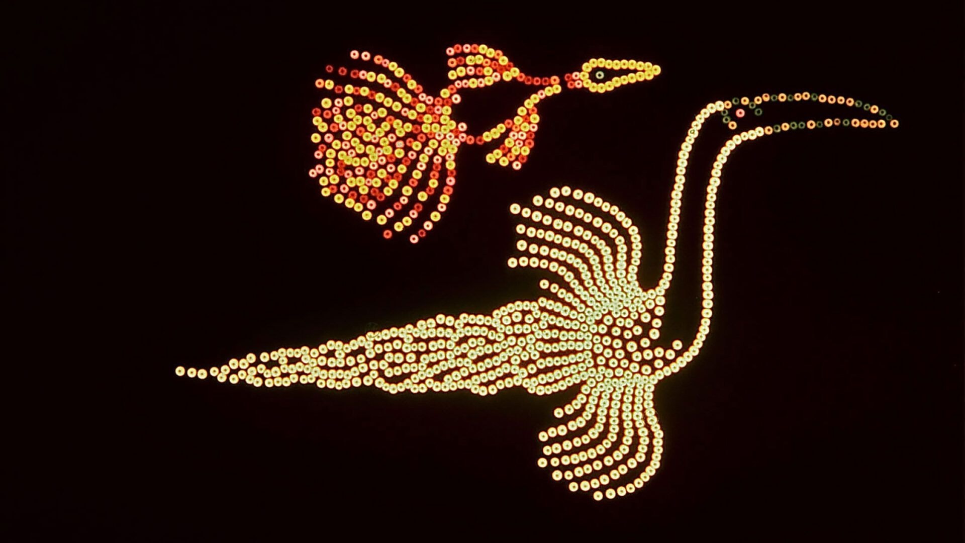 An Evening of Short Films from Asian American Filmmakers