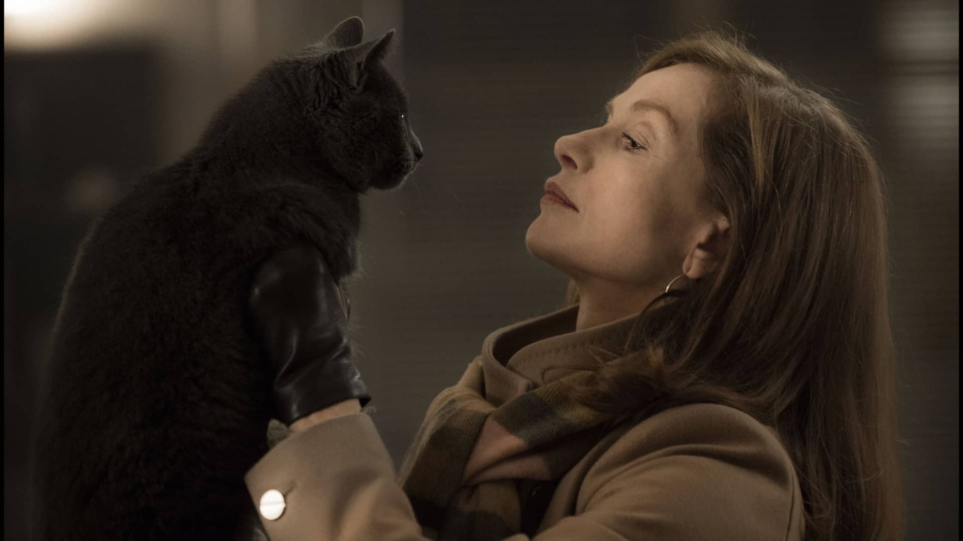 elle cat