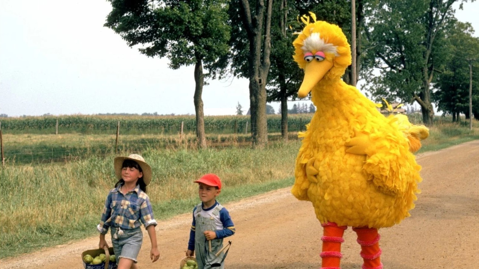 Follow That Bird with director Ken Kwapis